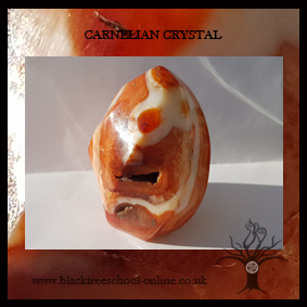 carnelien crystal blacktreeschool-online healing 